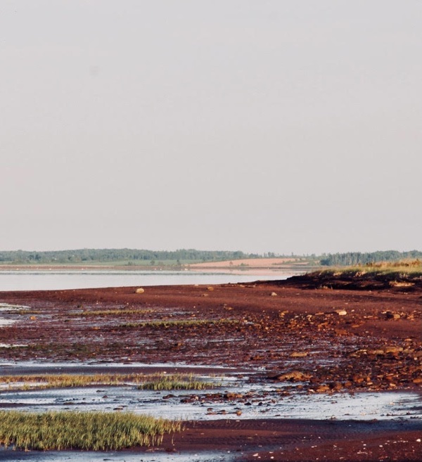 Vanishing Point [Image of a shoreline of Malpeque Bay, Prince Edward Island]. Photo credit: Ellyn Lyle.